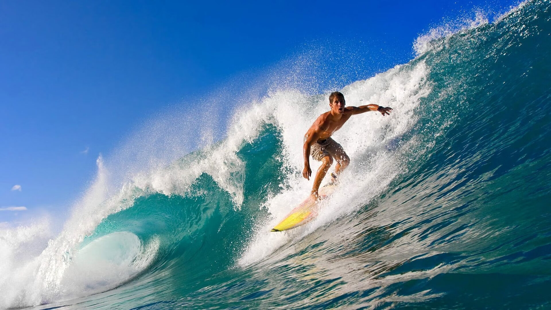 王皓统治全场，波兰队轻取韩国队展现团队唯一性