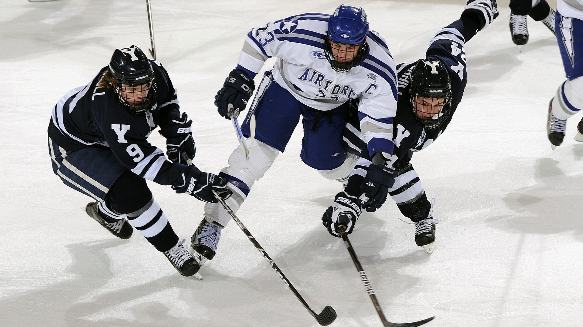 意甲焦点战与湖人淘汰灰熊，竞技体育的永恒魅力
